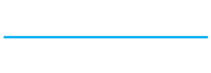Vanguard Search Group Logo